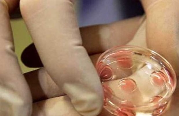 Clinică din Oradea, acreditată pentru fertilizarea in vitro